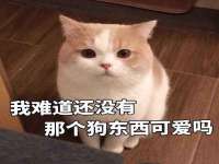 常州盒盒达网络信息科技有限公司