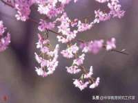常州盒盒达网络信息科技有限公司