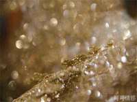 常州盒盒达网络信息科技有限公司
