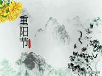 常州盒盒达网络信息科技有限公司