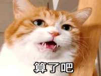 常州盒盒达网络信息科技有限公司