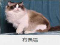 常州盒盒达网络信息科技有限公司