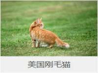 常州盒盒达网络信息科技有限公司