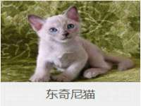 常州盒盒达网络信息科技有限公司
