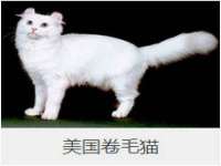 常州盒盒达网络信息科技有限公司