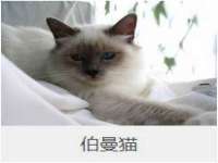 常州盒盒达网络信息科技有限公司