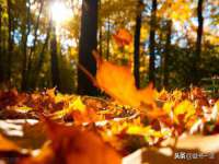 常州盒盒达网络信息科技有限公司