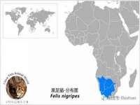 常州盒盒达网络信息科技有限公司