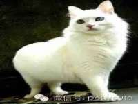 常州盒盒达网络信息科技有限公司