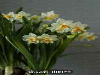 常州盒盒达网络信息科技有限公司