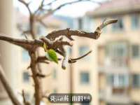 常州盒盒达网络信息科技有限公司