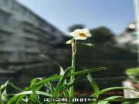 常州盒盒达网络信息科技有限公司