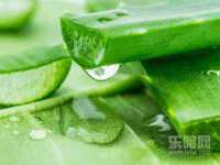 常州盒盒达网络信息科技有限公司