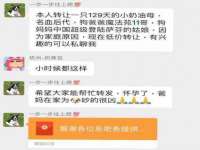 常州盒盒达网络信息科技有限公司