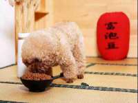 常州盒盒达网络信息科技有限公司