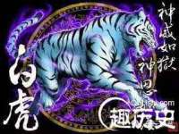 常州盒盒达网络信息科技有限公司