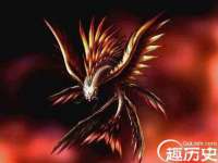 常州盒盒达网络信息科技有限公司