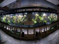 常州盒盒达网络信息科技有限公司