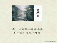 常州盒盒达网络信息科技有限公司