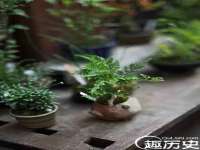 常州盒盒达网络信息科技有限公司