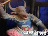 常州盒盒达网络信息科技有限公司