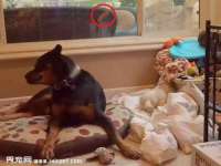常州盒盒达网络信息科技有限公司