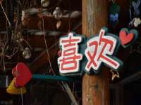 常州盒盒达网络信息科技有限公司