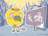 常州盒盒达网络信息科技有限公司