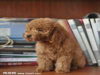 常州盒盒达网络信息科技有限公司