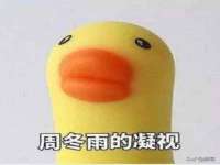 常州盒盒达网络信息科技有限公司
