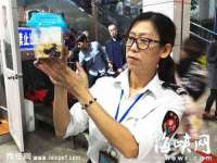 常州盒盒达网络信息科技有限公司