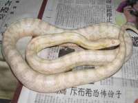 常州盒盒达网络信息科技有限公司