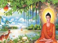常州盒盒达网络信息科技有限公司