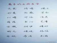 常州盒盒达网络信息科技有限公司