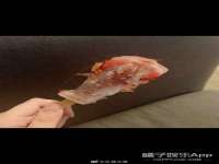 常州盒盒达网络信息科技有限公司